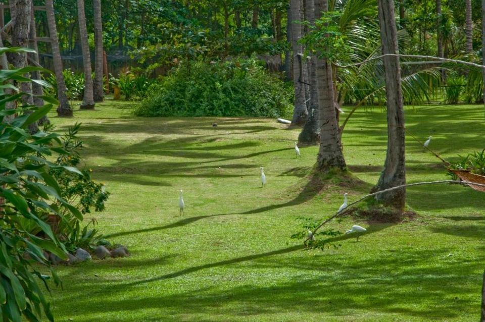 Crystal Paradise Resort Spa & Winery Narra Exterior foto