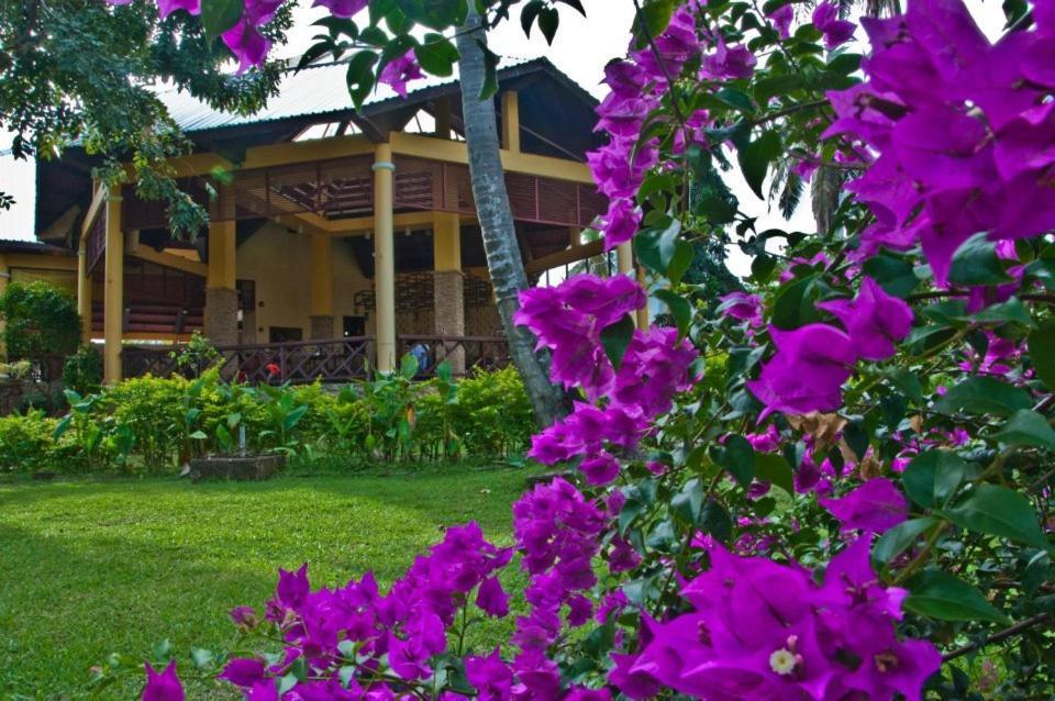 Crystal Paradise Resort Spa & Winery Narra Exterior foto